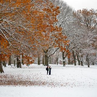 A snow-covered flagstaff hill.