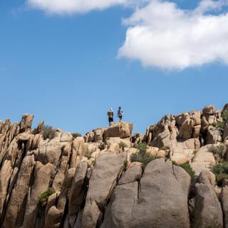 Joshua Tree National Park is known not just for its namesake trees, but for unique rock formations which are great for climbing and scrambling.